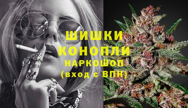 мдпв Вязьма