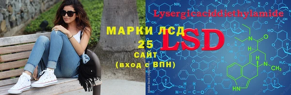 ГАЛЛЮЦИНОГЕННЫЕ ГРИБЫ Вяземский