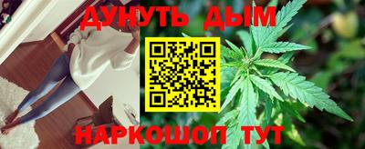 стафф Бийск