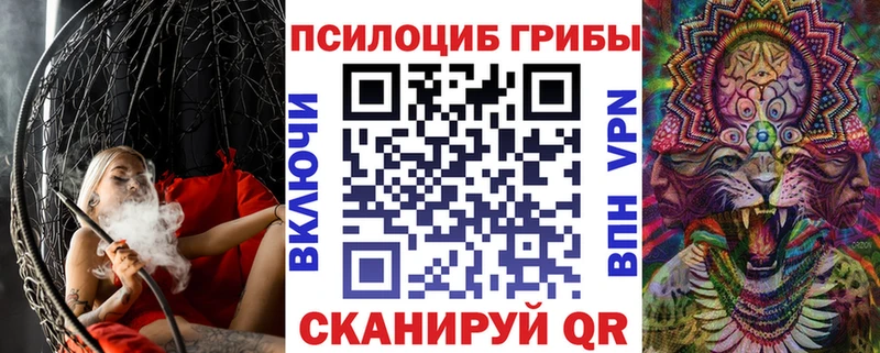 Псилоцибиновые грибы Psilocybe  кракен рабочий сайт  Гудермес 