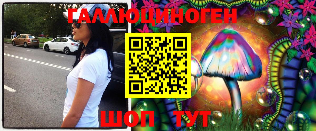 Галлюциногенные грибы MAGIC MUSHROOMS  Вход с VPN  Гудермес 
