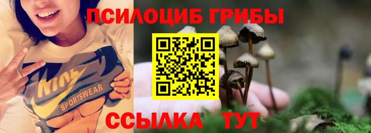 Галлюциногенные грибы MAGIC MUSHROOMS Гудермес